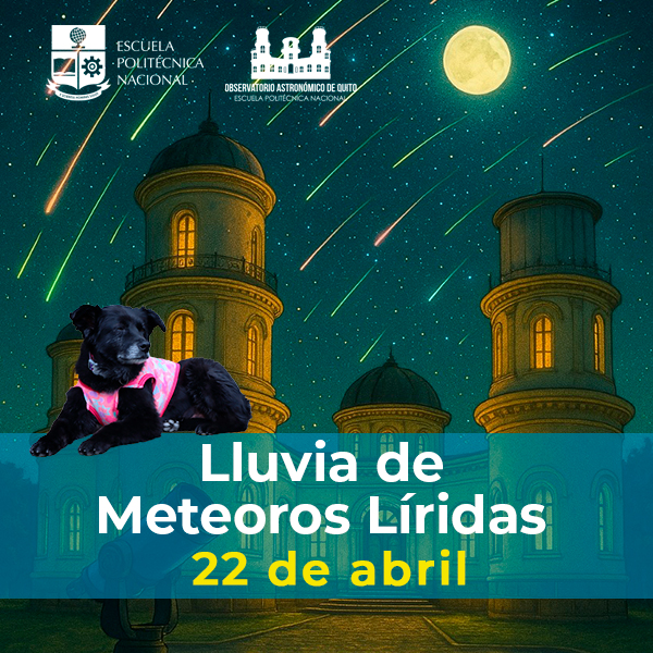 Noche de cine bajo las estrellas