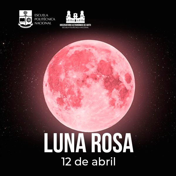 Noche de cine bajo las estrellas